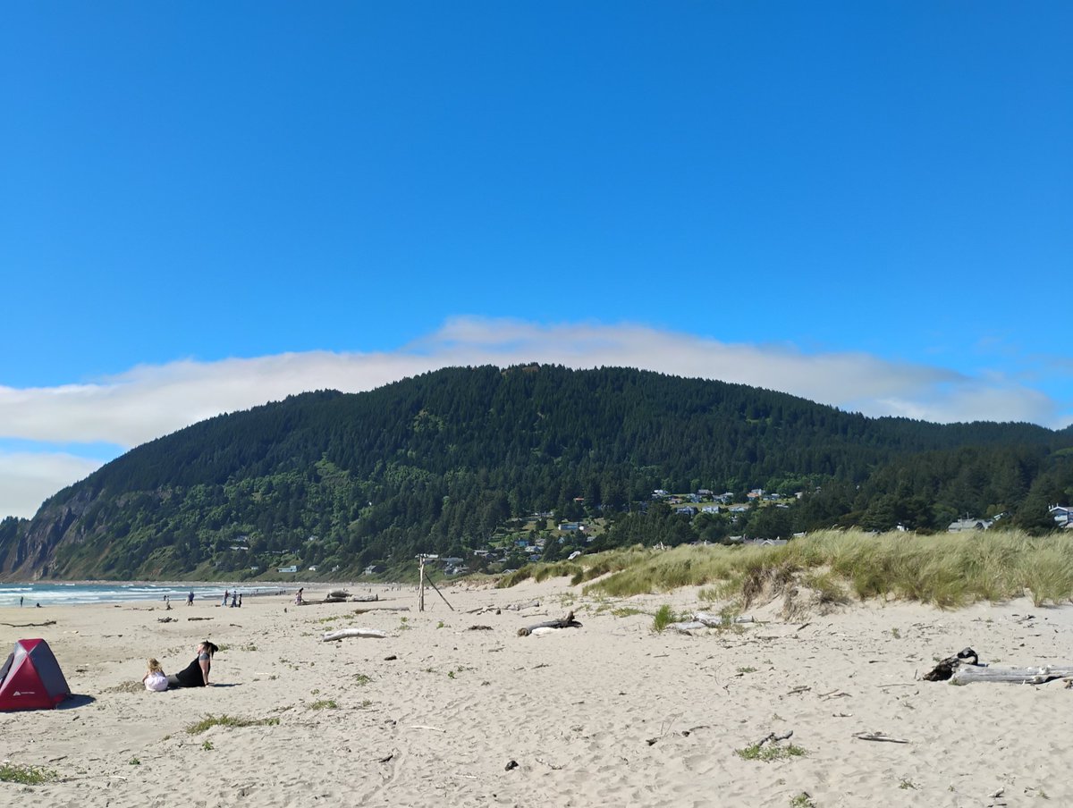 sharkmimimi's tweet photo. i love you oregon coast. you'll always be the home of my heart https://t.co/wtjWAGWEg1