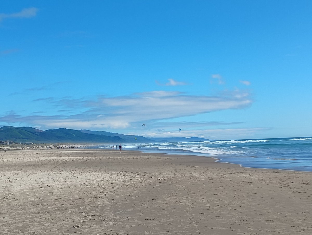 sharkmimimi's tweet photo. i love you oregon coast. you'll always be the home of my heart https://t.co/wtjWAGWEg1