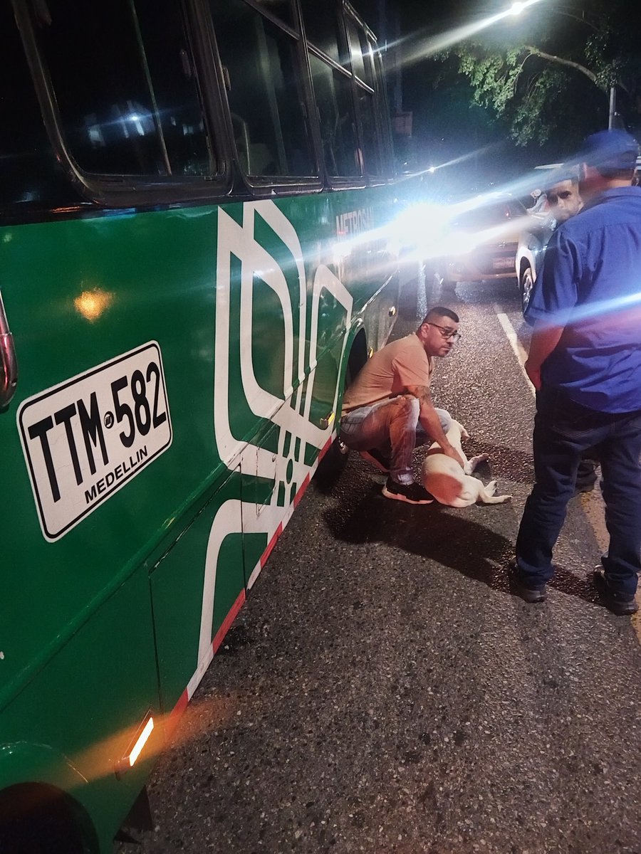 cardonag772's tweet photo. Acaba de sucerder un accidente 04/07/2026 donde un bus del metro de la estación san Javier, atropello una perrita la empresa le dijo que se retirara del lugar, la aseguradora dice que no responde, nos puede ayudar @metrodemedellin @FicoGutierrez  @AlcaldiadeMed https://t.co/r8TAlWFsPB
