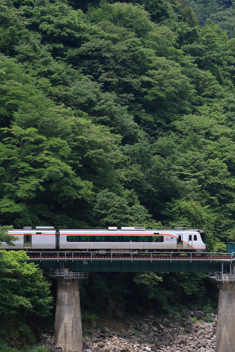 山深い高山本線の北部を走るHC85系 トンネルから橋そして再びトンネル