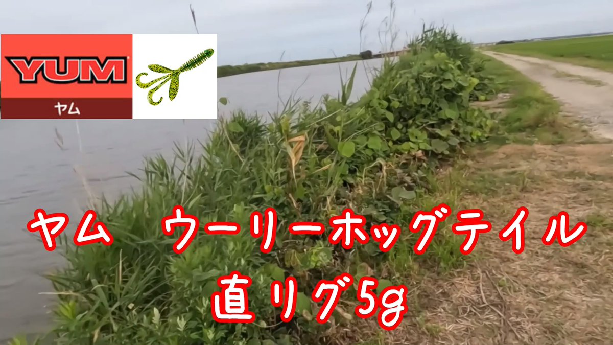 no_gorichan's tweet photo. 【バス釣り】【霞ヶ浦】野田奈川初心者が3本釣れるまで他に行けません

今回は、久々に縛りでチャレンジ企画
攻略法を見つけて釣りのレベルアップを狙い、あえて縛り企画に挑戦。

動画はこちら
https://t.co/l3jSAD695L

#バス釣り
#霞水系
#霞ヶ浦
#おかっぱり
#バスフィッシング
#流入河川 https://t.co/fC4yiLPvUv
