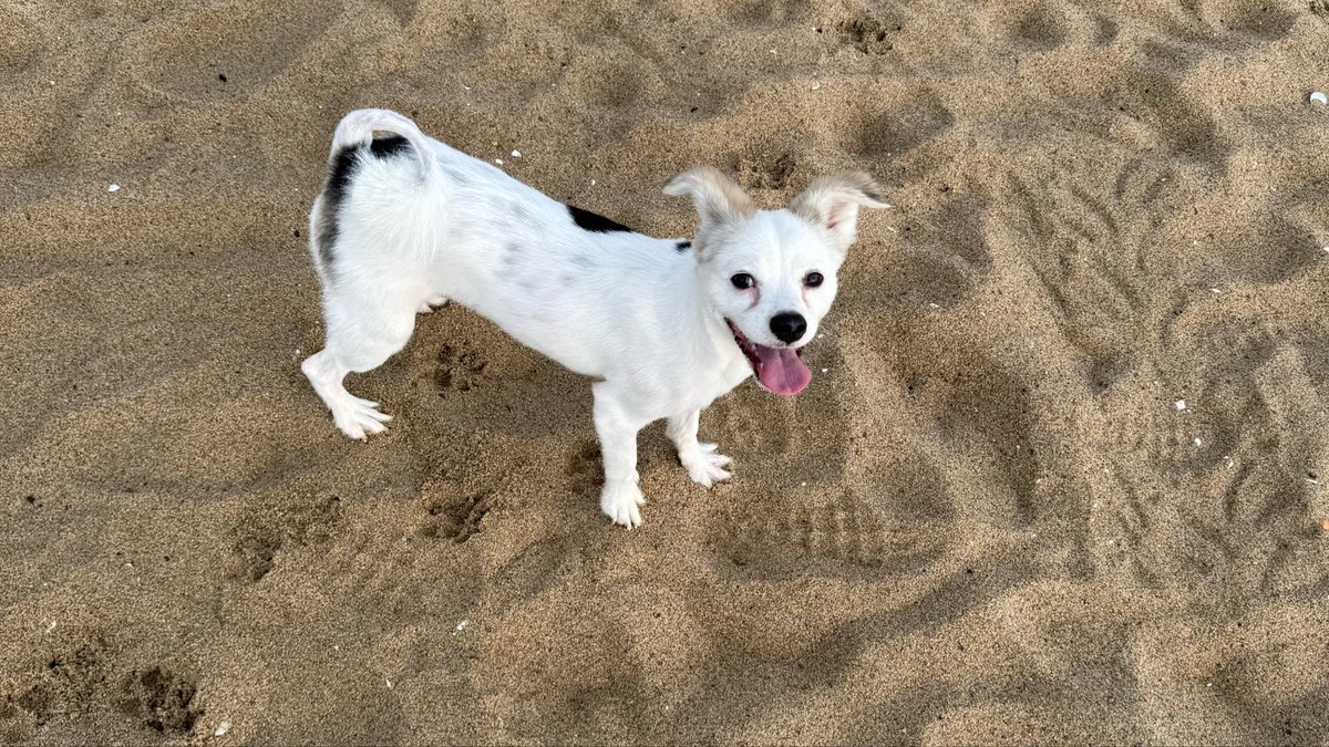 cha_aakko's tweet photo. 그렇더라고요 https://t.co/URvLBSzs7q