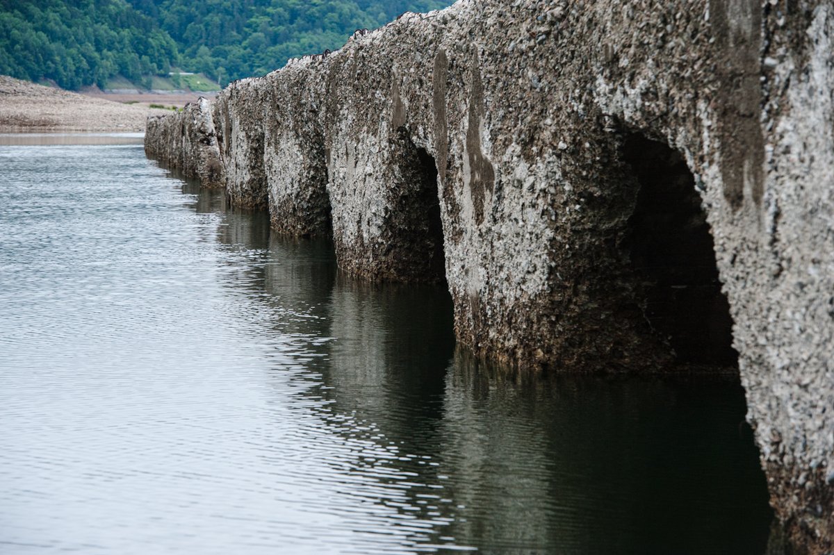 ryozy's tweet photo. 2013年7月5日のタウシュベツ川橋梁。糠平湖の水が多く、橋の大部分が水没していました。

この頃からすでに「今年で見納め」と言われていた橋ですが、壁の崩落は進んでいるものの、まだ一つながりの状態で持ちこたえています。

来年が竣工90周年。

#タウシュベツ川橋梁 https://t.co/3rpCpwQrUv