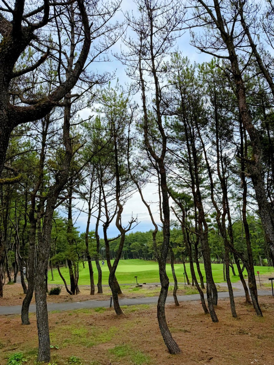 chipshot1967's tweet photo. あまり暑くなくていい感じ https://t.co/79zJfPDe2y