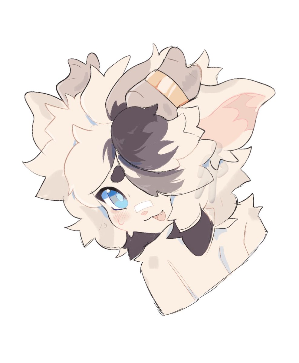yofukis's tweet photo. aww so cute https://t.co/8Vkjmj4jYl
