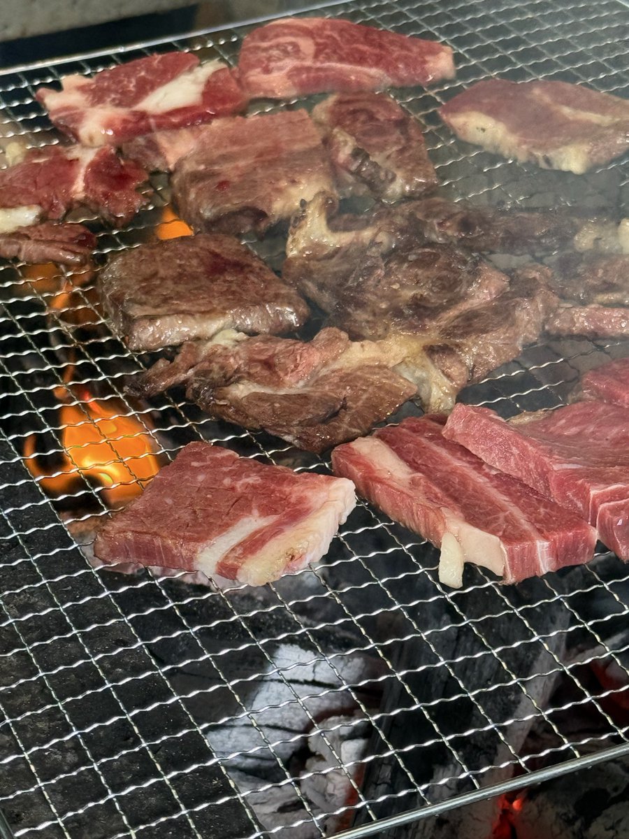 miki8823's tweet photo. 涼しくて最高🍻
かぶとむしもくわがたもいたぁ！ https://t.co/Fc9iqEN9Di