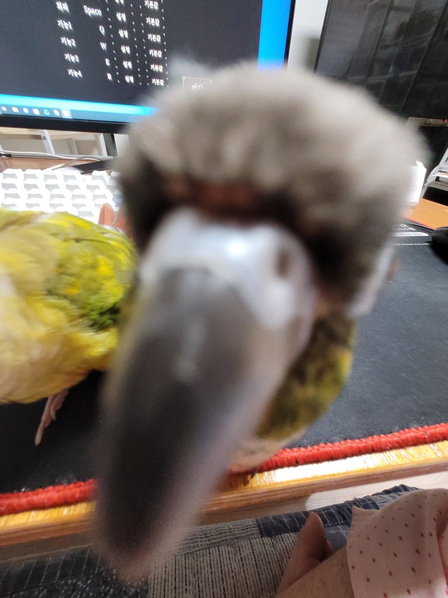 insane_au_ra tweet picture