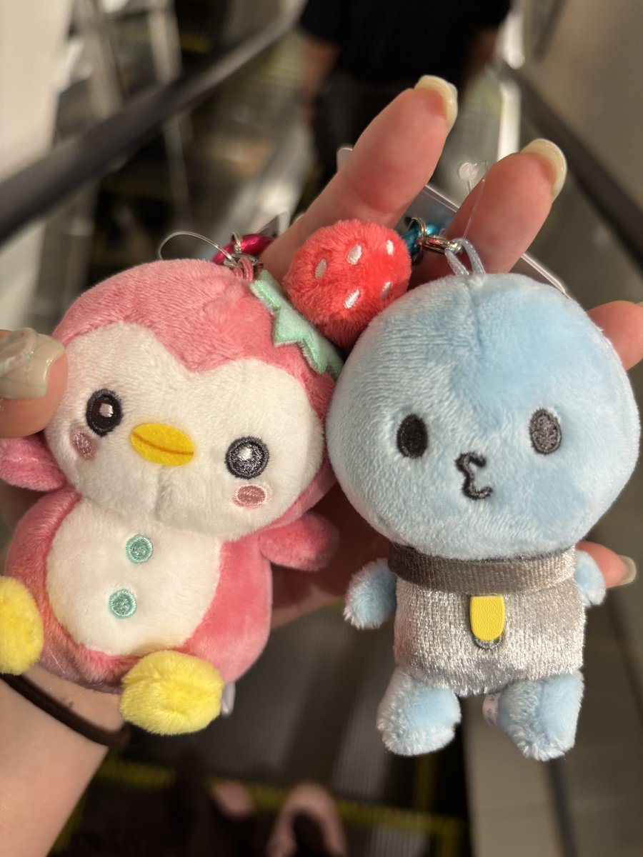 JO1 jochum 河野純喜　川西拓実　マイクン　ぽぽ やっとお出迎えできた🥺💗🩵 #JO1 #JOCHUM #マイクン #ぽぽ #河野純喜