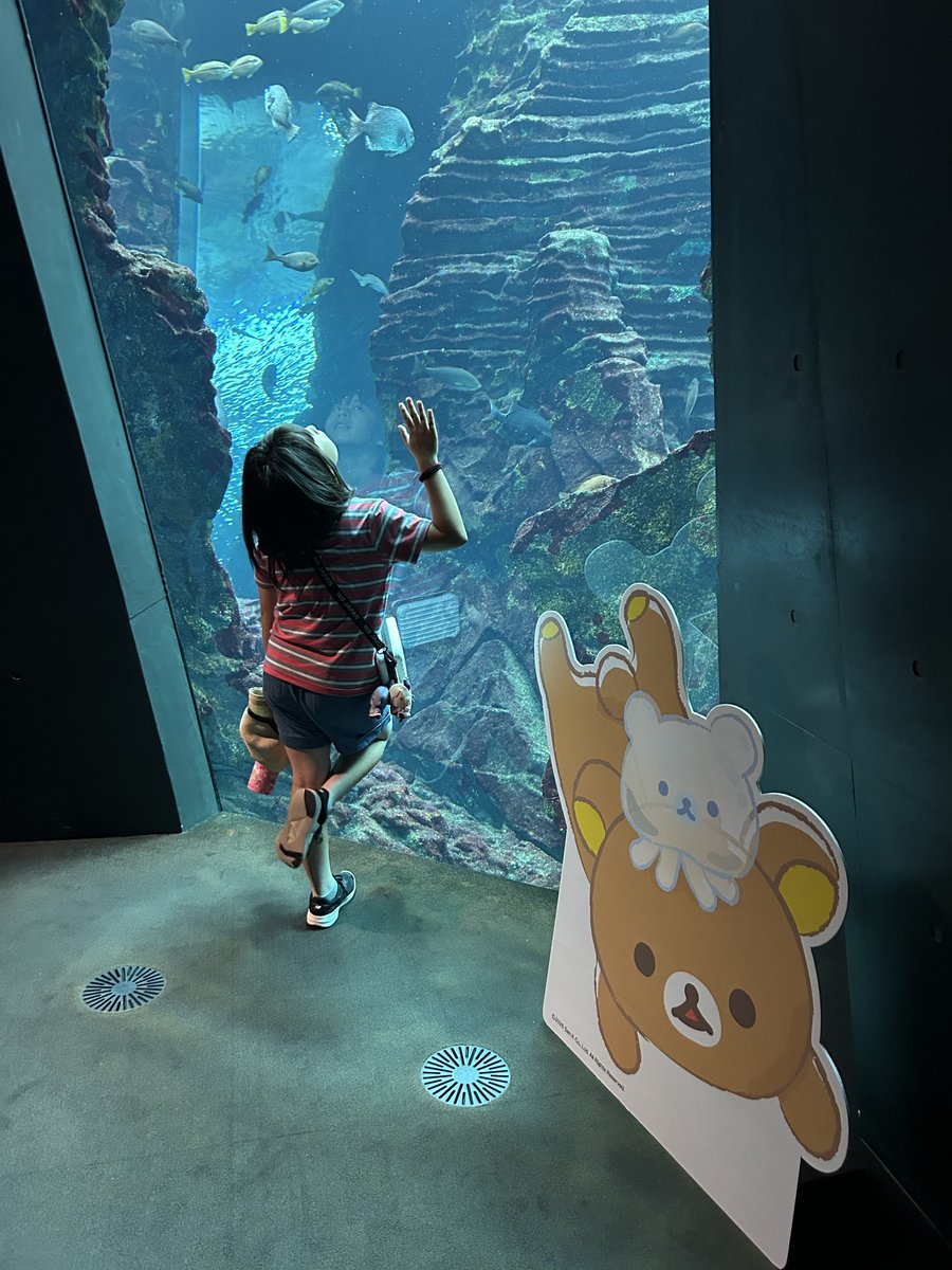 fastde69's tweet photo. 今日は家族サービスで上越水族館に来ております😤
4.5月は怪我で動けず、6月はライブに夢中😁
久しぶりの水族館はいいぜ、家族も楽しそうなんで良かった良かった🤩 https://t.co/HoN7gHPntr