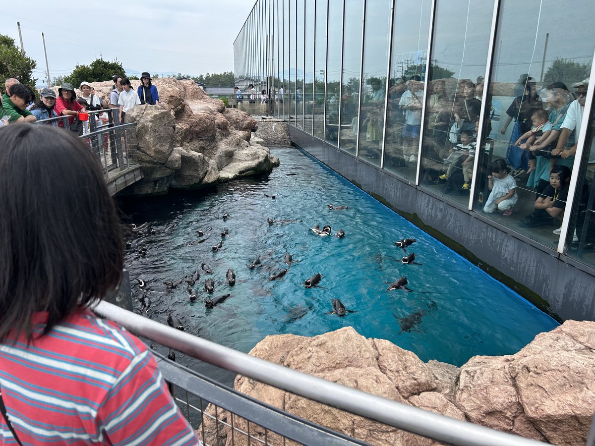 fastde69's tweet photo. 今日は家族サービスで上越水族館に来ております😤
4.5月は怪我で動けず、6月はライブに夢中😁
久しぶりの水族館はいいぜ、家族も楽しそうなんで良かった良かった🤩 https://t.co/HoN7gHPntr