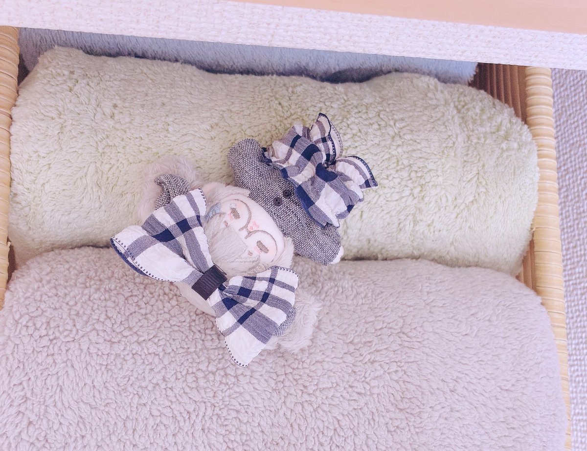 muni_nui's tweet photo. 🐑💤 https://t.co/J4gyagqxGo
