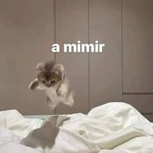 ItsHoshiLiz's tweet photo. Ok mañana 💜 https://t.co/nVM8AhVPSd