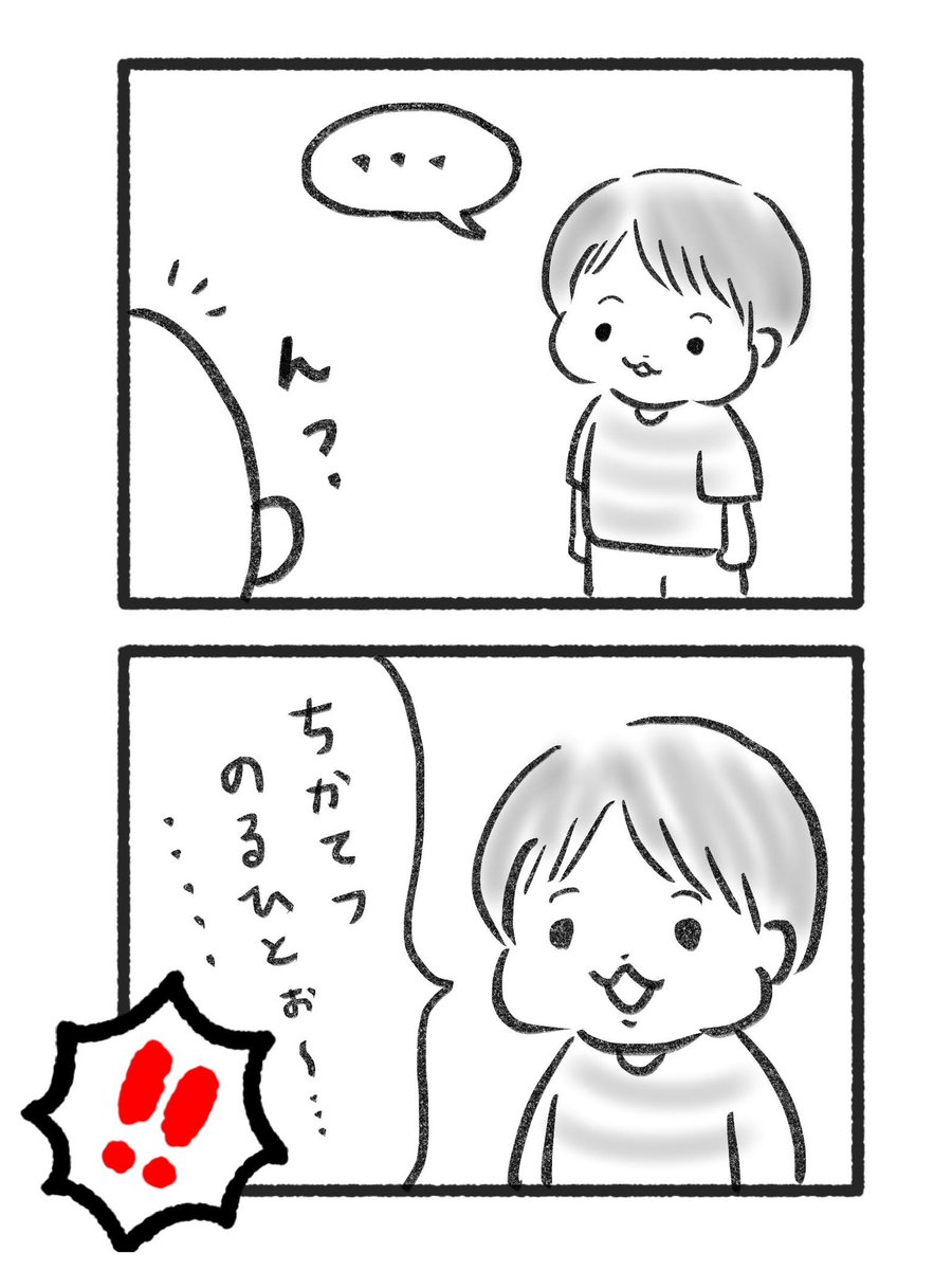 ponzou1226_02's tweet photo. いたって真剣な、ちゅちゅ丸。 https://t.co/qDav3BClE8