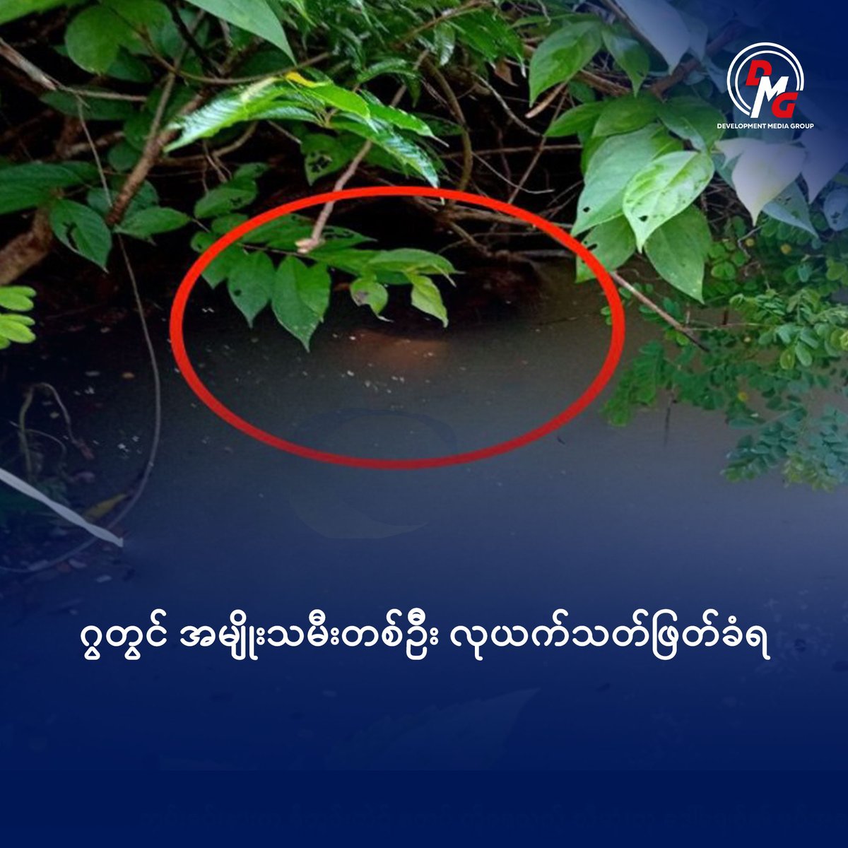 DMGNewsAgency's tweet photo. ဂွတွင် အမျိုးသမီးတစ်ဦး လုယက်သတ်ဖြတ်ခံရ

DMG ၊ ဇူလိုင် ၅ 

ရခိုင်ပြည်၊ ဂွမြို့နယ်၊ ကျိန္တလီမြို့၊ ချင်းကွင်းကျေးရွာတွင် အမျိုးသမီးတစ်ဦး လုယက်သတ်ဖြတ်ခံရမှု ဖြစ်ပွားခဲ့ကြောင်း အာရက္ခမှုခင်းနှင့် ဆက်စပ်သတင်းများ ထုတ်ပြန်ရ��းအဖွဲ့က ယမန်နေ့ (ဇူလိုင် ၄ ရက်)တွင် သတင်းထုတ်ပြန်သည်။

သတ်ဖြတ်ခံရသူမှာ ချင်းကွင်းကျေးရွာမှ ဒေါ်မချစ် (၆၅) နှစ်ဖြစ်ပြီး ၎င်းမှာ ပြီးခဲ့သည့် ဇွန် ၁၉ ရက်၊ နံနက် ၇ နာရီကျော်တွင် နေအိမ်မှ ကျေးရွာတောင်ဘက် မီတာ ၁၀၀၀ ခန့်အကွာရှိ ၎င်း၏ ကွမ်းခင်းသို့ အလုပ်လုပ်ရန် တစ်ဦးတည်း ထွက်သွားခဲ့သည်။ 

ယင်းနောက် နေအိမ်သို့ ��ြန်ရောက်လာခြင်းမရှိသဖြင့် မိသားစုဝင်များက အိမ်နီးနား ပတ်ဝန်းကျင်မှ လူများကို အသိပေးပြီး ကွမ်းခင်းသို့ သွားရောက်ရှာဖွေခဲ့ရာ ယင်းနေ့၊ ညနေ ၄ နာရီခွဲခန့်တွင် ကွမ်းခင်း၏ မြောက်ဘက် မီတာ(၂၀) ခန့်ရှိ ရေတွင်းထဲတွင် သေဆုံးလျက်တွေ့ရှိခဲ့ကြောင်း ထုတ်ပြန်ထားသည်။

ဒေါ်မချစ်၏ ဦးခေါင်းတွင် ဓားဒဏ်ရာ (၄) ချက်၊ ဘယ်ဘက် နားထင်တွင် ဓားဒဏ်ရာ (၁)ချက်၊ ညာဘက်နားထင်တွင် ဓားဒဏ်ရာ (၁)ချက်နှင့��� ဘယ်ဘက်နားတွင် ဓားဒဏ်ရာ(၁)ချက် စုစုပေါင်းဓားဒဏ်ရာ (၇)ချက်ဖြင့် သေဆုံးနေသည့် ရုပ်အလောင်းကို တွေ့ရှိခဲ့ခြင်းဖြစ်သည်။

ယင်းအပြင် ဒေါ်မချစ် ဝတ်ဆင်ထားသည့် နှားကပ် (၁) စုံ၊ ကာလတန်ဖိုးငွေကျပ် (၁၀) သိန်းခန့်မှာလည်း ပျောက်ဆုံးနေကြောင်း သိရသည်။

အဆိုပါ သေဆုံးမှုနှင့် ပတ်သတ်ပြီး မိသားစုဝင်များက ဇွန်  ၂၀ ရက်၊ နံနက် ၁၀ နာရီခန့်တွင် တရားလိုပြုလုပ်ပြီး ဒီလပ်ထံတွင် တိုင်ကြားလာကြော���်း ထုတ်ပြန်ချက်တွင် ဖော်ပြထားသည်။

လက်ရှိတွင် ပြစ်မှုကျူးလွန်သူအား အမြန်ဆုံး ဖမ်းဆီးနိုင်ရေးအတွက် စုံစမ်းဖော်ထုတ်လျက်ရှိကြောင်း  တရားဥပဒေစိုးမိုးရေးနှင့် ပြည်သူ့လုံခြုံရေး��ာန( ဒီလပ်)က ထုတ်ပြန်ထားသည်။

ပုံစာ - လုယက်သတ်ဖြတ်ခံရပြီးနောက်  ရေတွင်းထဲတွင် သေဆုံးနေသည့် ဒေါ်မချစ်၏ ရုပ်အလောင်းကို တွေ့ရစဉ်။ ဓာတ်ပုံ - အာရက္ခမှုခင်းနှင့် ဆက်စပ်သတင်းများ ထုတ်ပြန်ရေးအဖွဲ့ 

#DMGNews #DevelopmentMediaGroup #သတင်း #ရခိုင်သတင်း #ဂွမြို့နယ် #ကျိန္တလီ #ချင်းကွင်းကျေးရွာ #မှုခင်းသတင်း #လုယက်မှု #လူသတ်မှု #တရားဥပဒေစိုးမိုးရေး #အာရက္ခ #Rakhine #Gwa #CrimeNews #MyanmarNews #BreakingNews #Justice #Crime #NewsUpdate