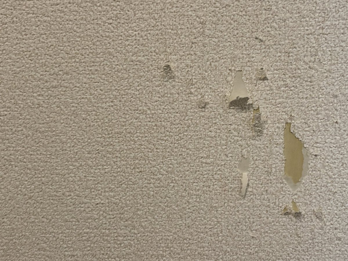 llvanillall's tweet photo. 作品
①天井近くだから無事と思うな
②下地見たいやろ？
③竹柄にしといた
④作者紹介 https://t.co/FWncZLat4V