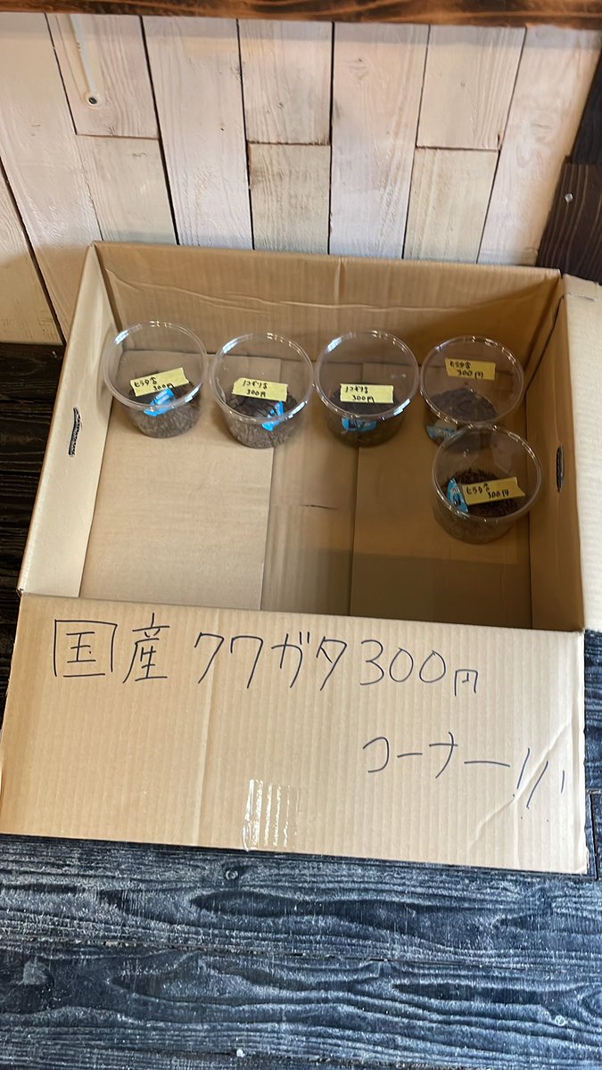 FamiliarMatu17's tweet photo. 本日も１２時から元気に営業しております！

生憎の天気ですが
ファミリア店舗内は常夏の太陽のように明るいです😀☀️

お子様用に300円コーナーも作りました！
ご来店お待ちしております。 https://t.co/XiORYi7hKO