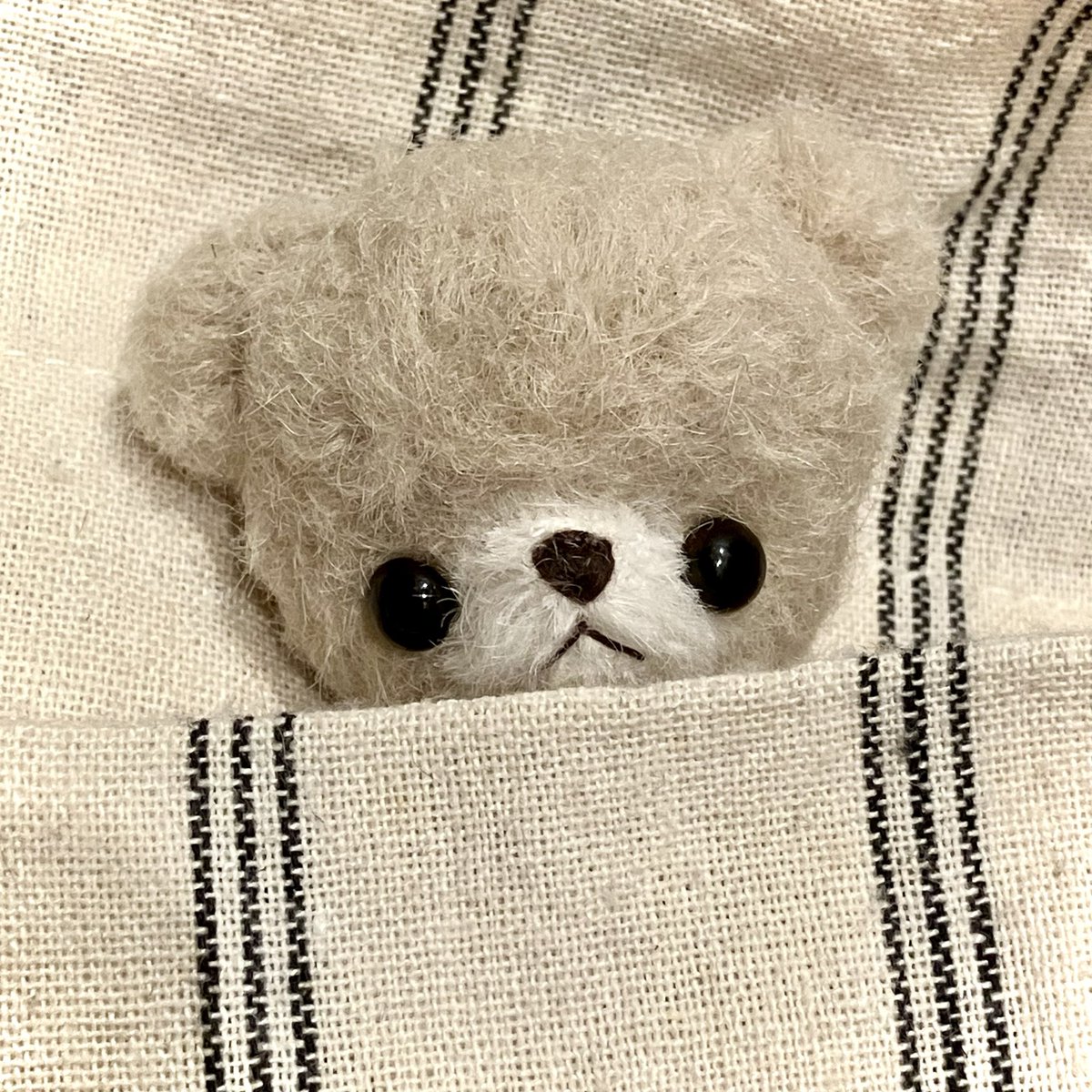 くまくろ。 (@kumakuro_bear) / Posts / X