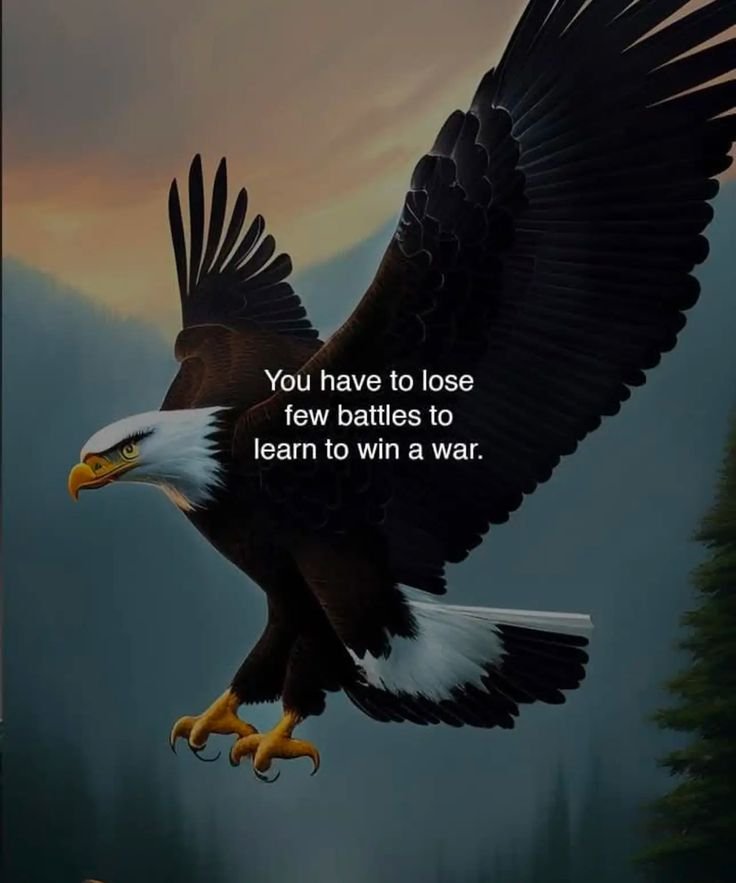 Gold Wisdom tweet media
