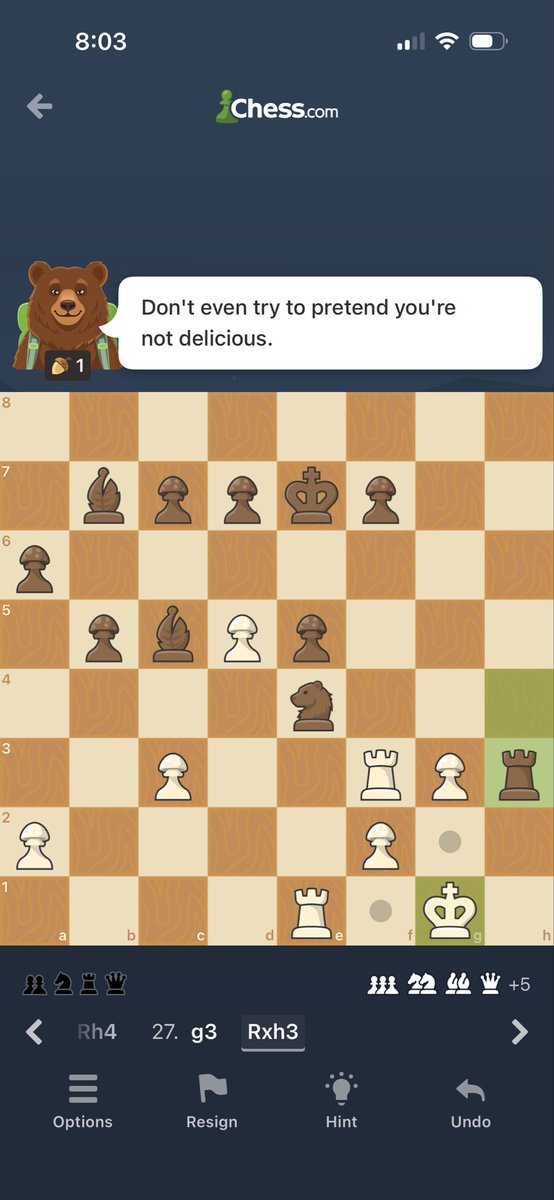 ash_stag's tweet photo. I think the chess bear wants to eat me O.o https://t.co/HNVC08rq0V