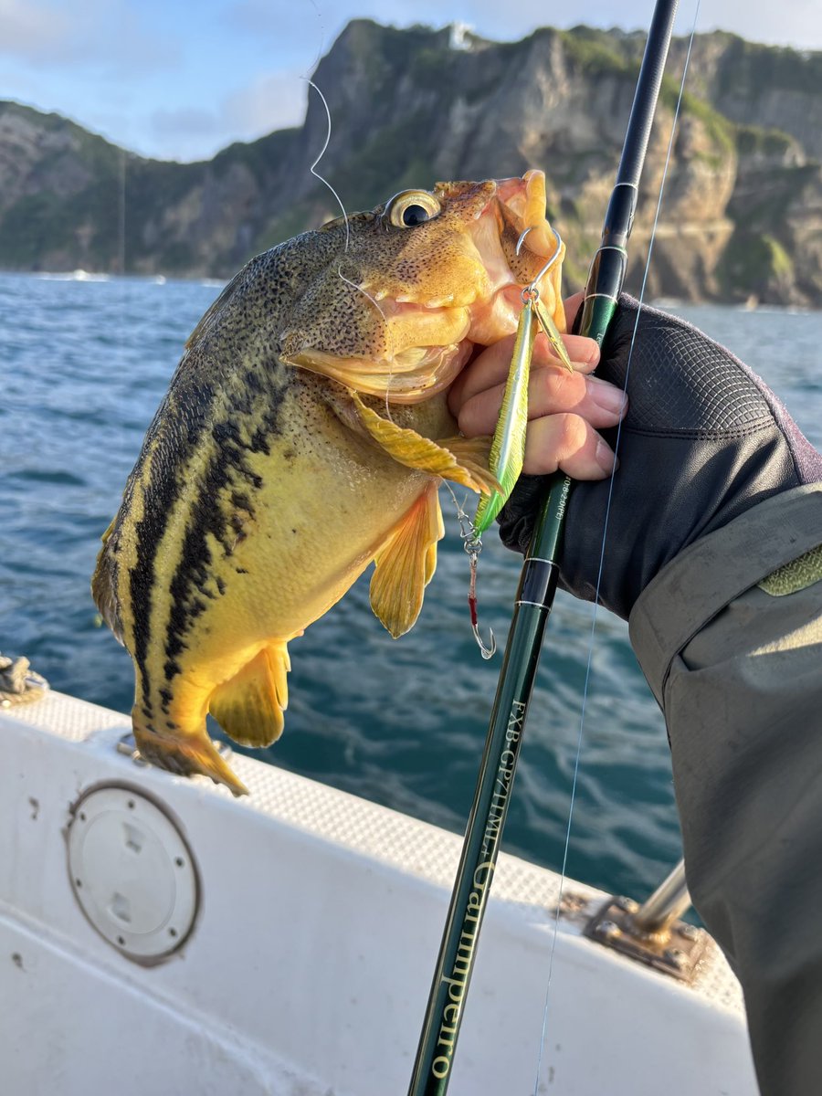 315akt's tweet photo. 昨日のボート🐟
朝はヒラメ狙いもフグだらけ😨移動して水深のあるポイントではナッゾスリム45gにスワシャ4.8。港内ではスワシャxgにジュラクローと色々使って遊ばせていただきました🙌

途中でカレイ釣りなんかもしてとても充実した釣りでした☺️ https://t.co/Bw5aQIY4e3