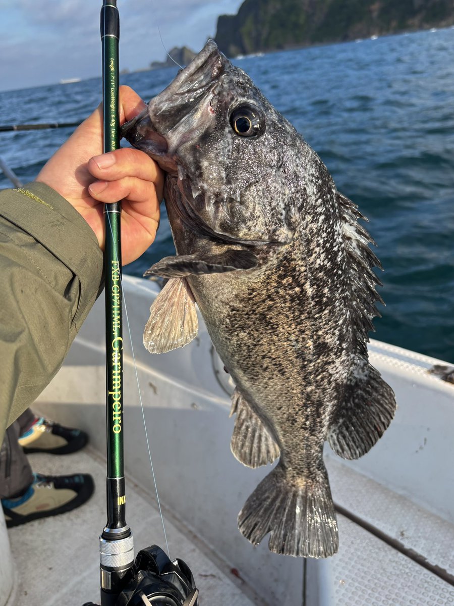 315akt's tweet photo. 昨日のボート🐟
朝はヒラメ狙いもフグだらけ😨移動して水深のあるポイントではナッゾスリム45gにスワシャ4.8。港内ではスワシャxgにジュラクローと色々使って遊ばせていただきました🙌

途中でカレイ釣りなんかもしてとても充実した釣りでした☺️ https://t.co/Bw5aQIY4e3