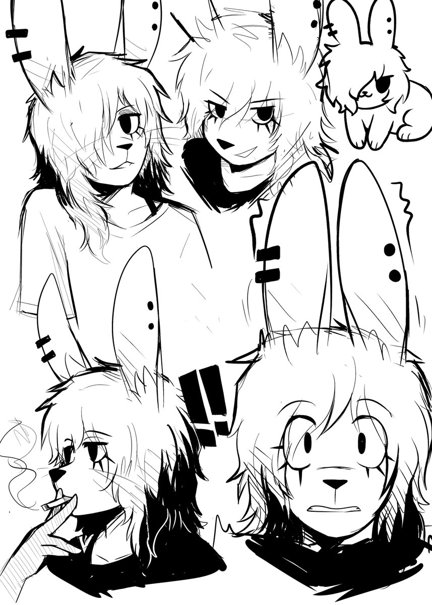 TitoTheBum's tweet photo. Bunch of Irene sketches cuz I love drawing her 🐇 https://t.co/hVSxlgRD4H