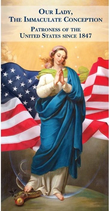BreeSolstad's tweet photo. May our holy Queen Virgin Mary the Immaculate Conception bless and protect the USA!!!!

Happy 4th! https://t.co/ANP4Xbz0yb