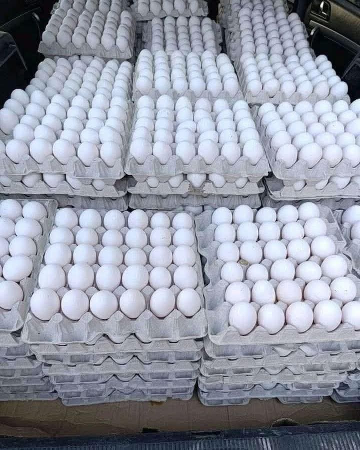 isalm99483's tweet photo. Every day is a struggle to feed and care for my children. We need just $100 a day for food and basic hygiene supplies. Donations have almost stopped. Please don't forget Gaza. Every donation goes directly to my children's essential needs. Thank you for your kindness. 💔🙏🍞 https://t.co/Os0z0ucyyG