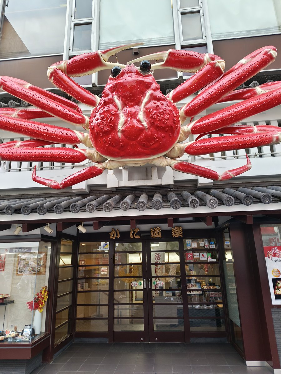 junjunjunpy411's tweet photo. Just landed in Tokyo! First bite of authentic ramen at that legendary shop near Shibuya Crossing  Thrilled for this 7-day food u0026 adventure trip!， https://t.co/1H4nOVZTem