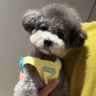 li_gh54567's tweet photo. #新头像 https://t.co/FNhahWS4v8