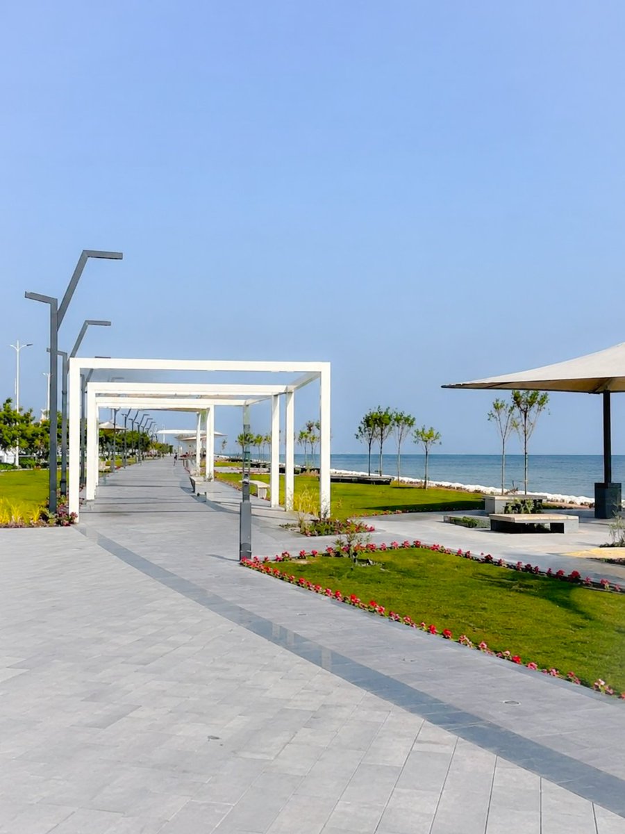 SSE10_'s tweet photo. A morning walk is the best way to start your day. Stay healthy! 🌿

أحب أمشي في هالوقت تحديداً لأن الجو يكون نوعاً ما أهون من باقي فترات الصباح 🌤 https://t.co/r2BwSreoUO