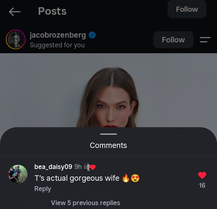 gaylornews's tweet photo. 📱| Karlie Kloss' stylist liked a kaylor comment on Instagram.

'T's actual gorgeous wife' https://t.co/D7SIKA7gTx