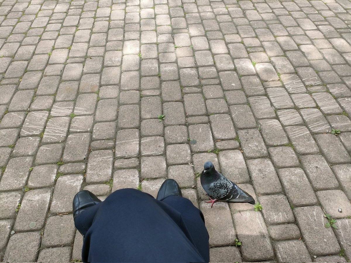 Ino_PT's tweet photo. いや、距離感おかしいだろ
#札幌
#大通公園 https://t.co/rB5hh1IgPZ