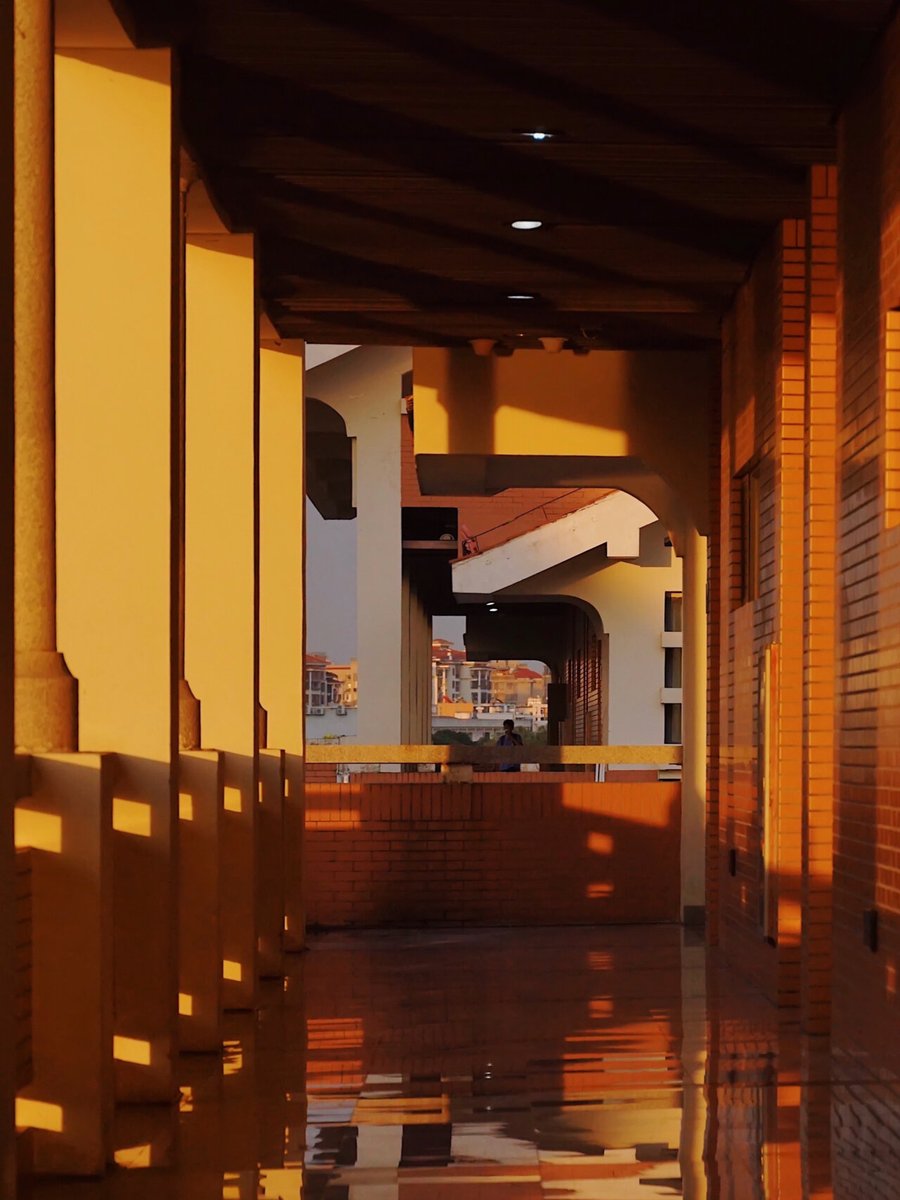 nananazo73's tweet photo. New to photography Start with mastering natural light—shooting during golden hour (1hr after sunrise / before sunset) makes any subject look warm and stunning without fancy gear! https://t.co/RMsga5NCfo