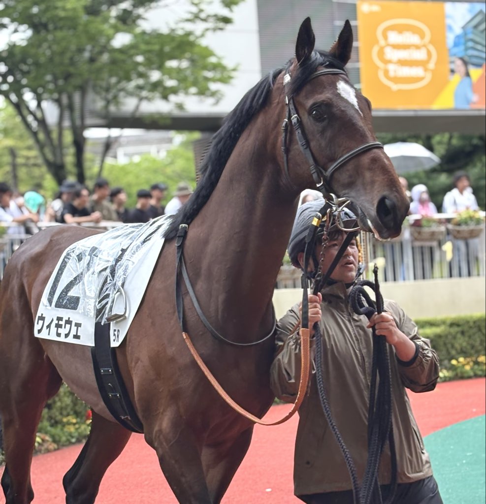 らん🐴 (@ran1026) / Posts / X