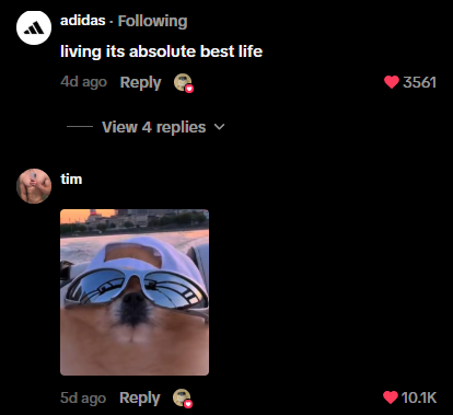 QUANTIM__'s tweet photo. 10k likes on a comment under @pomkori video from a few days ago

None of these KOLfags have this kind of motion

Not even @blknoiz06 with the help of @_tjrtrades and @orangie can keep up

Foids have been flooding my DMs, and every single one is getting shilled $KORI

The biggest normie onboarding event is loading

Billions koded