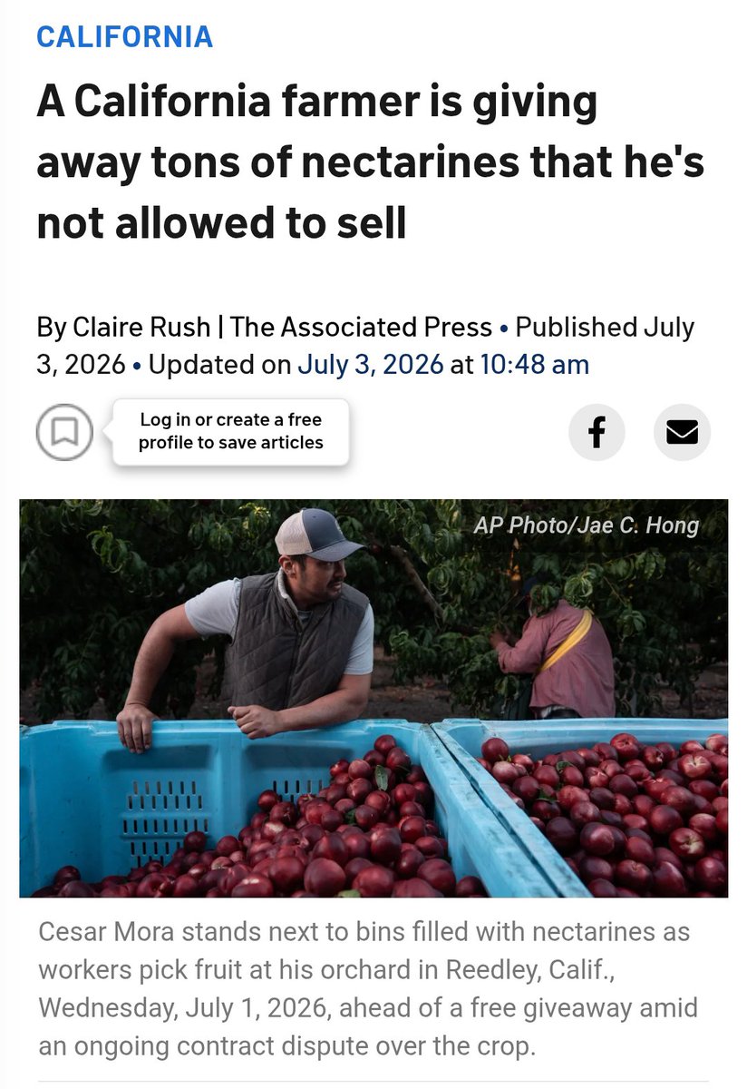 mannar_mannan28's tweet photo. 'No Nectarines wasted' 🔥

கார்பரேட்கள் எந்த நாட்டிலும் வேளாண்மை செய்யும் உழவர்களுக்கு எதிரானவர்களே.

சொந்த நாட்டு விவசாயியை  ஏமாத்துறுவன்,இந்திய,தமிழ்நாட்டு விவசாயிகளை விட்டு வைப்பானா?

நம்மூரிலும்‌ விலை கிடைக்காமல் குப்பையில் கொட்டுவதற்கு பதில் ஏழைகளுக்கு கொடுக்கலாம். https://t.co/2qe3fEZHb5