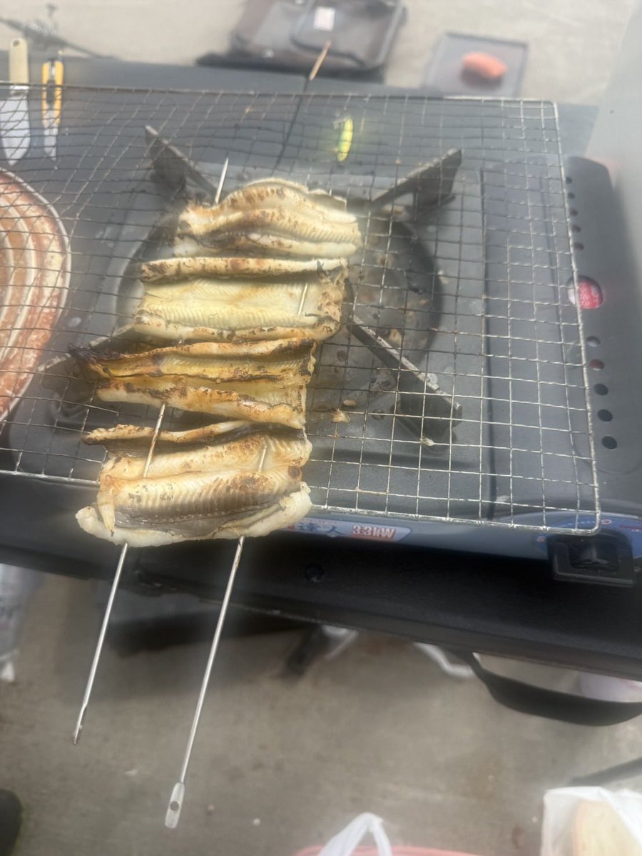 hamaken8000's tweet photo. 釣った魚を捌いて食べる🥣
アナゴ編 とても美味しゅうございました😁 https://t.co/hamSq278k8