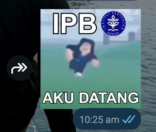 meep²⁶ sm ipb please be nice tweet media
