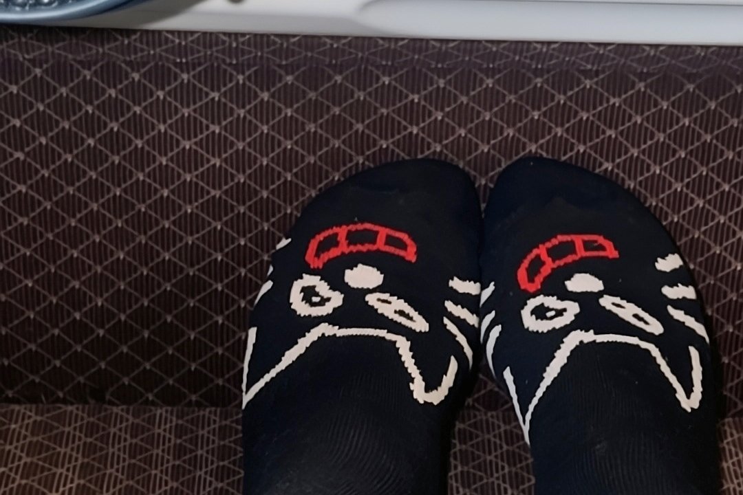 ___marimoay's tweet photo. #TOP4
やっと静岡だ😼 https://t.co/HtBaP1KJx0