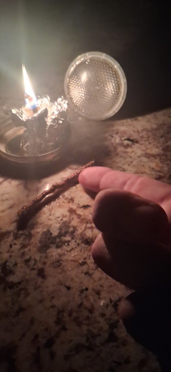 DChaneler's tweet photo. Pro tip for when the power goes out.
Tinfoil
Bacon grease
550 cord.
Viola candle https://t.co/PLVd7EBC6L