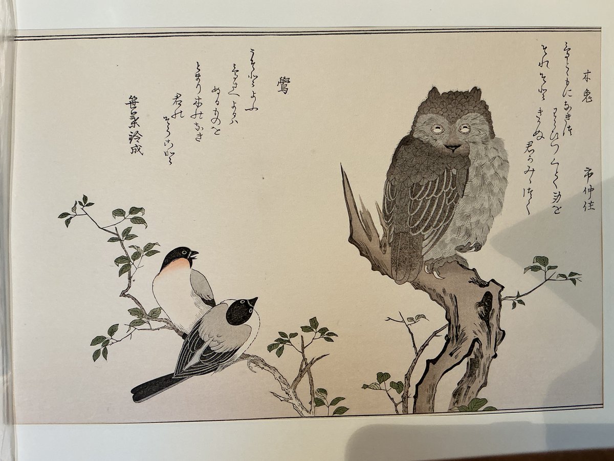 toritori_b's tweet photo. 本日7/5(日) 12:00〜17:00オープン！     
小雨模様です。
今年は３１周年記念、鳥のものを少しずつ並べ始めました♪

    ♪  インスタ　↓   https://t.co/tOBRhhvyLt https://t.co/hPyFBumMdF