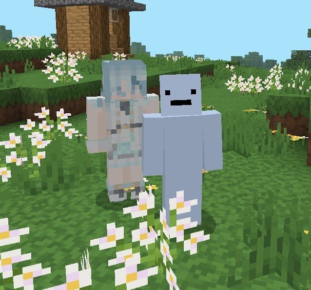 revfied's tweet photo. today i learned u can add your f/o in minecraft https://t.co/pW5yVwmXbL