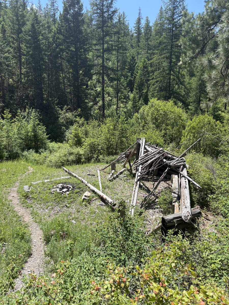 MaxxKolbe's tweet photo. We now have this in our backyard. Yes America is great https://t.co/wAknuVxrkI