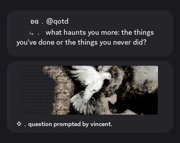 vince ⛧ tweet media