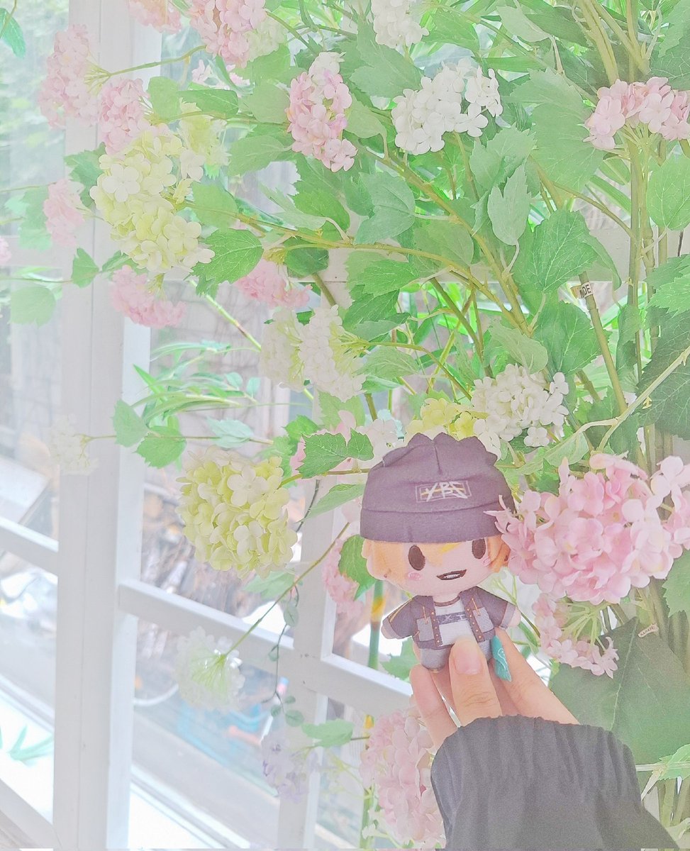 hiroa0714's tweet photo. #프세카_𝕏친소 #프세카트친소
시험 끝난 기념으로 트친소 올려봐요✨
☕🥞 , 🎧🐹 주력 青柳 冬弥&amp;東雲 彰人 을 애정하고 있는 학생입니다! 타 오시&amp; 겹오시 상관없이 모두모두 환영해요(*´ ˘ `*)
그림연성,주접 위주 올리고 성향 맞는 분만 맘찍 해주시면 찾아갈게요! 🫶
트친들 인알 부탁드려요🧡 https://t.co/ItMVw1wL50