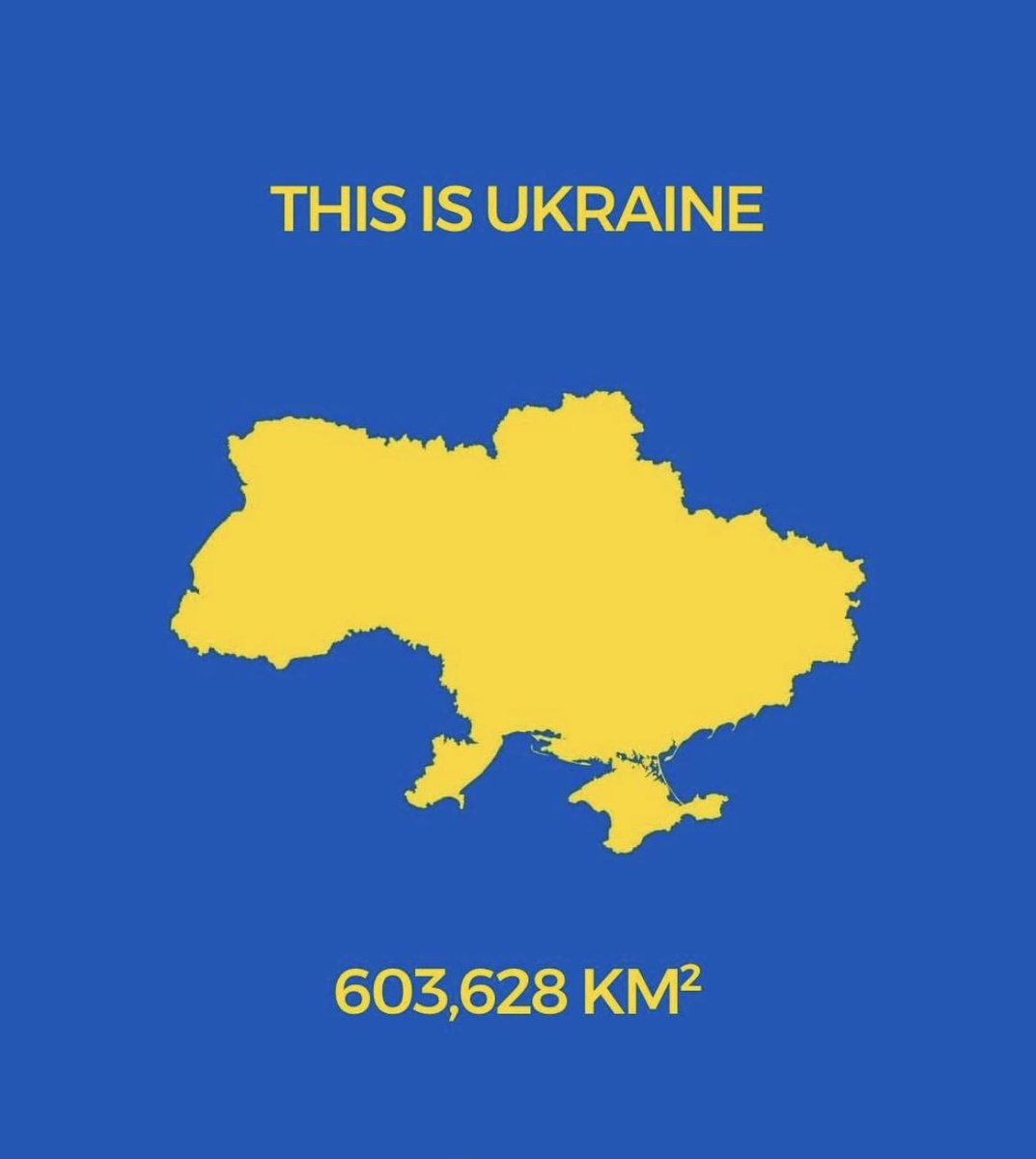 SFF Georgia tweet media