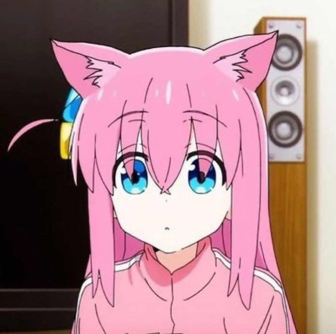 BocchiCatDaily's tweet photo. day 443

*the cat wonders around* https://t.co/MB0lMumEW9