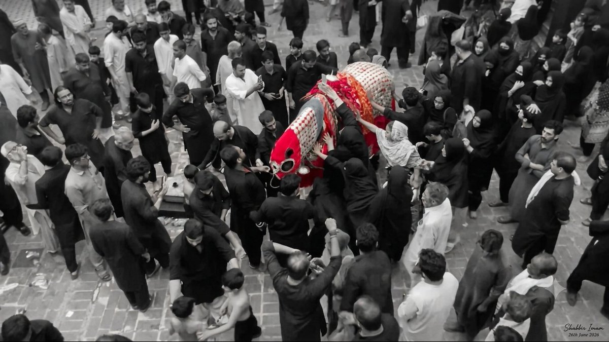 gunjgate's tweet photo. #Peshawar #Zuljanah #Zuljina #Zuljinah #Azadari #Ashura #Ashur #Muharram2026 #Muharram1448 #Pakistan #Karbala #ImamHussainع #CandidPhotography #Photojournalism #ShabbirImam #ShabbirHussainImam #Leica #LeicaPhoto https://t.co/OpPeDNL9to
