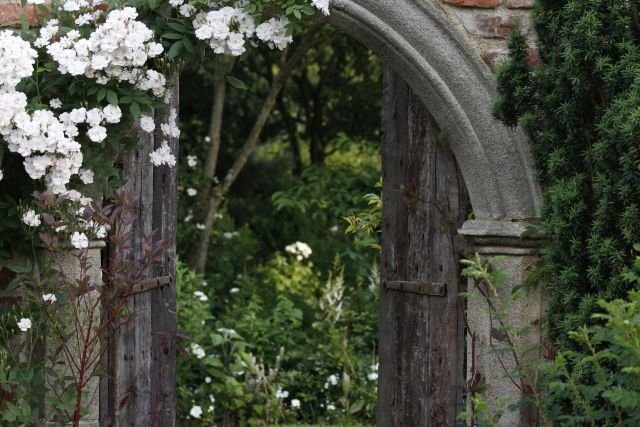 kooromi19's tweet photo. a gate to the secret garden https://t.co/R3FHqZuoNI